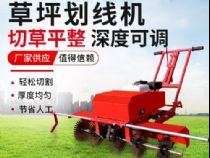 點(diǎn)擊查看詳細(xì)信息<br>標(biāo)題：草皮劃線機(jī) 閱讀次數(shù)：3710